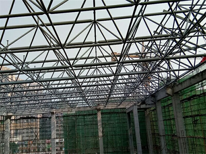 新泰光谷第十一小学网架